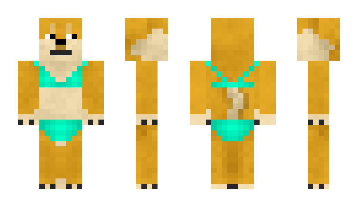 Amazon Minecraft Skin