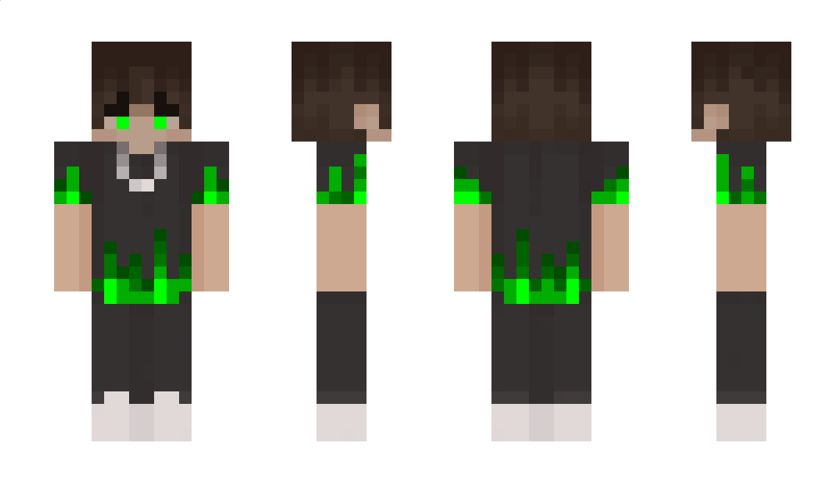 roboto2847 Minecraft Skin