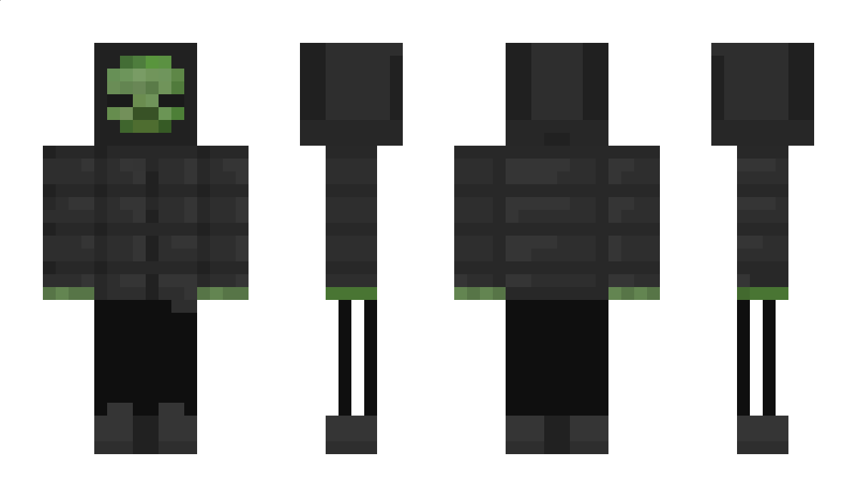 SenSapete Minecraft Skin