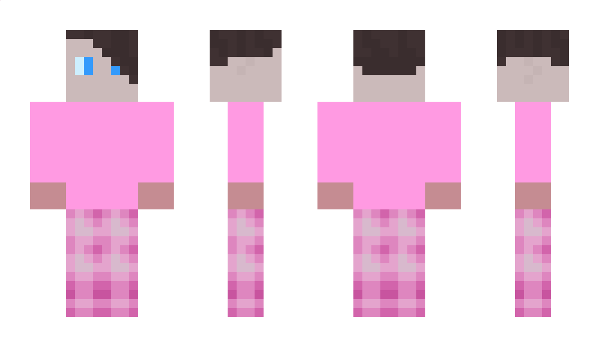 cjM1117_E Minecraft Skin