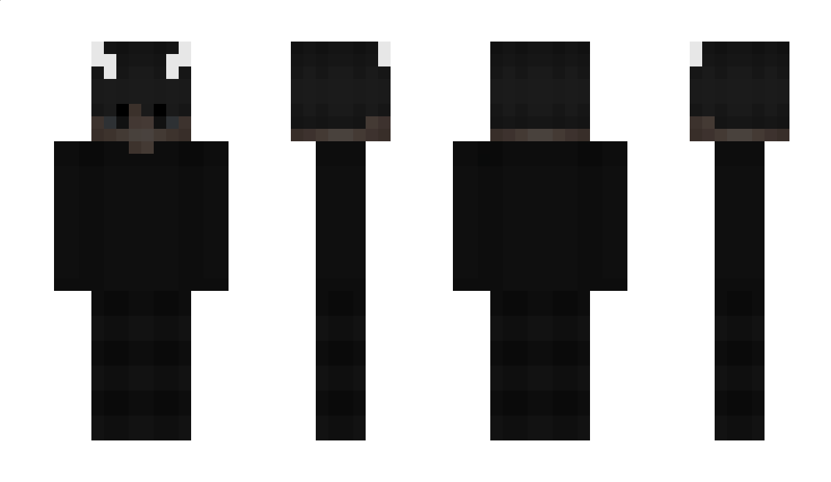 Bemerkenswerter Minecraft Skin