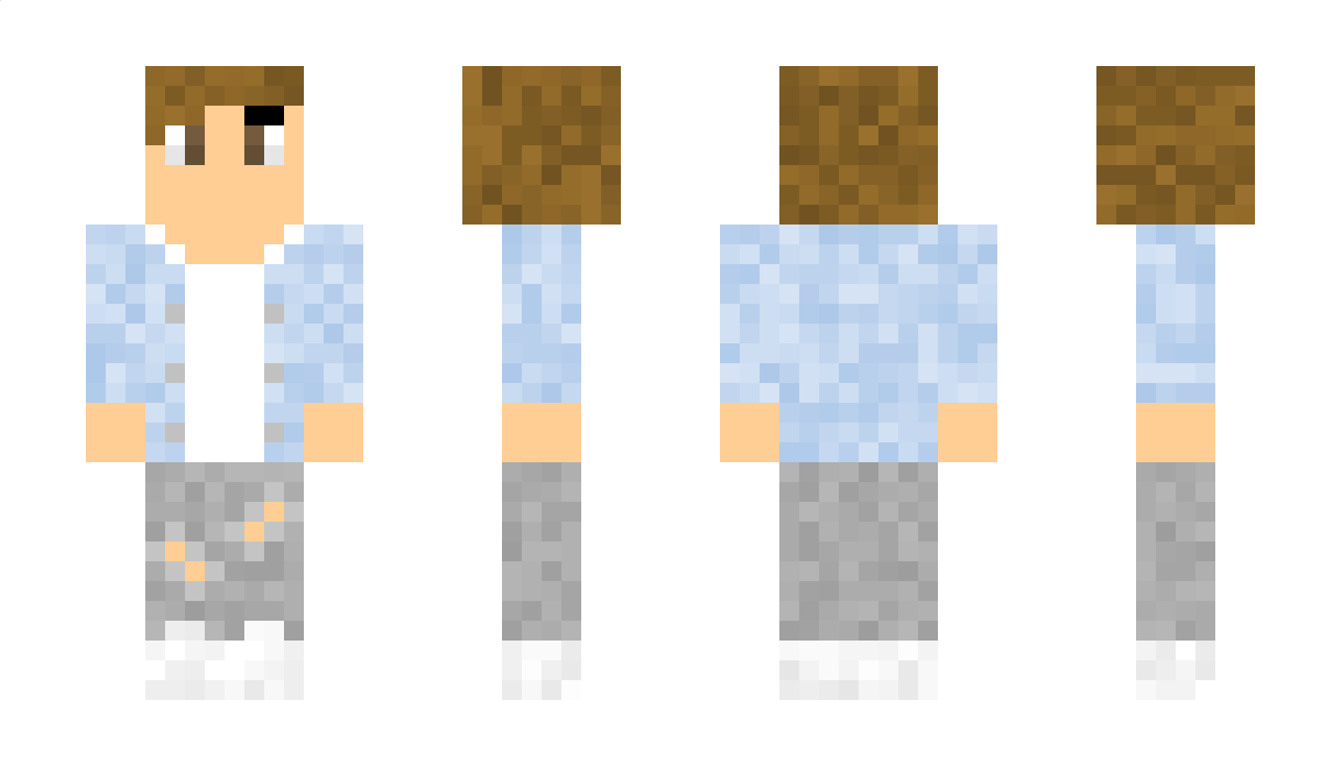 Minivansegway Minecraft Skin