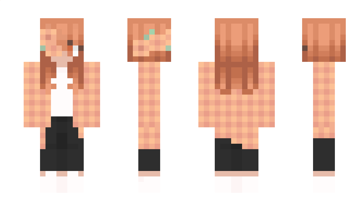 myerevn Minecraft Skin