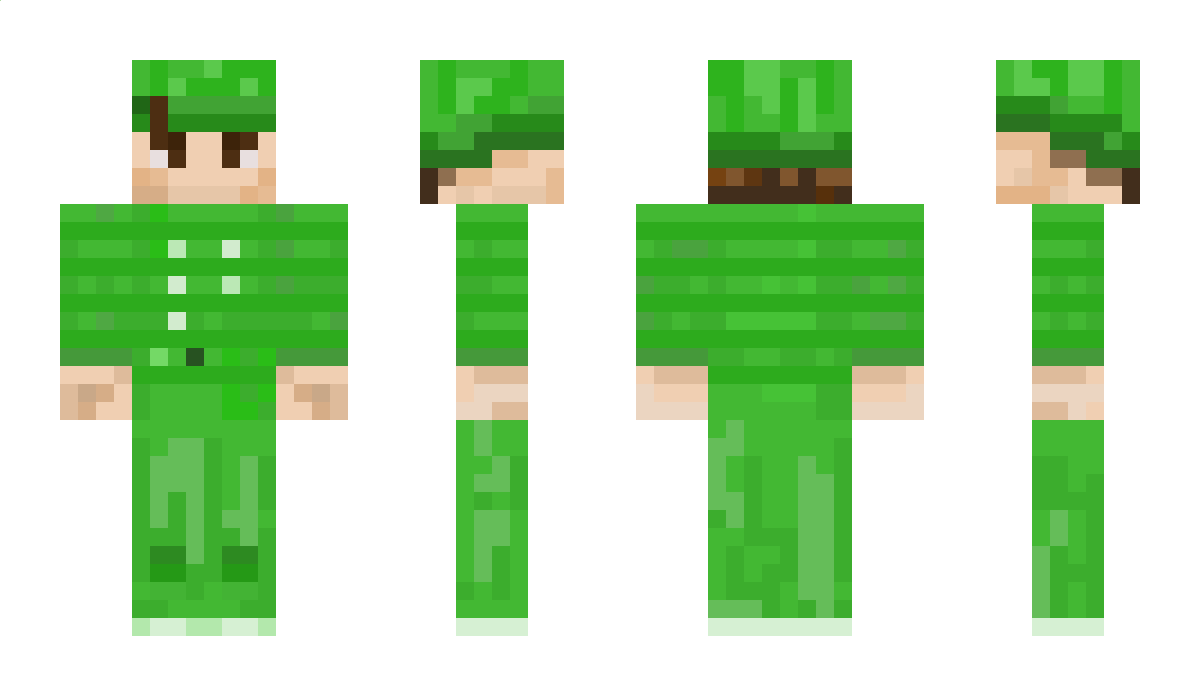 _Salatik_Green_ Minecraft Skin