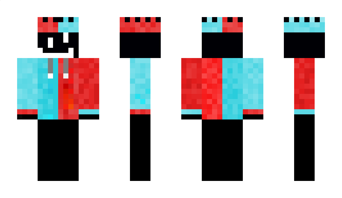 Tort Minecraft Skin