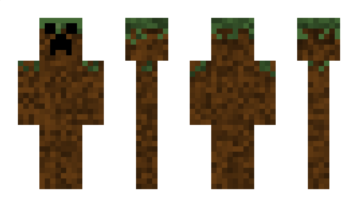 la_laveuse__ Minecraft Skin