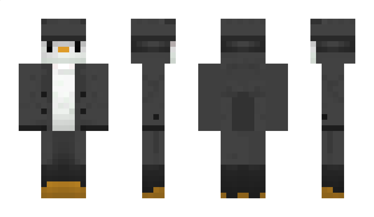 PinguinSee8825 Minecraft Skin