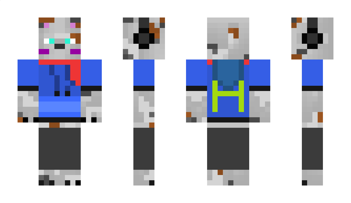 Hollmink Minecraft Skin