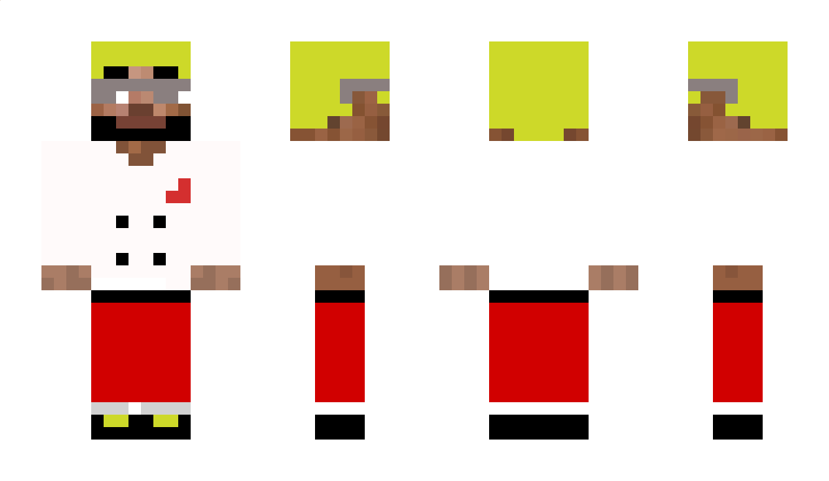 Rand0mPica Minecraft Skin