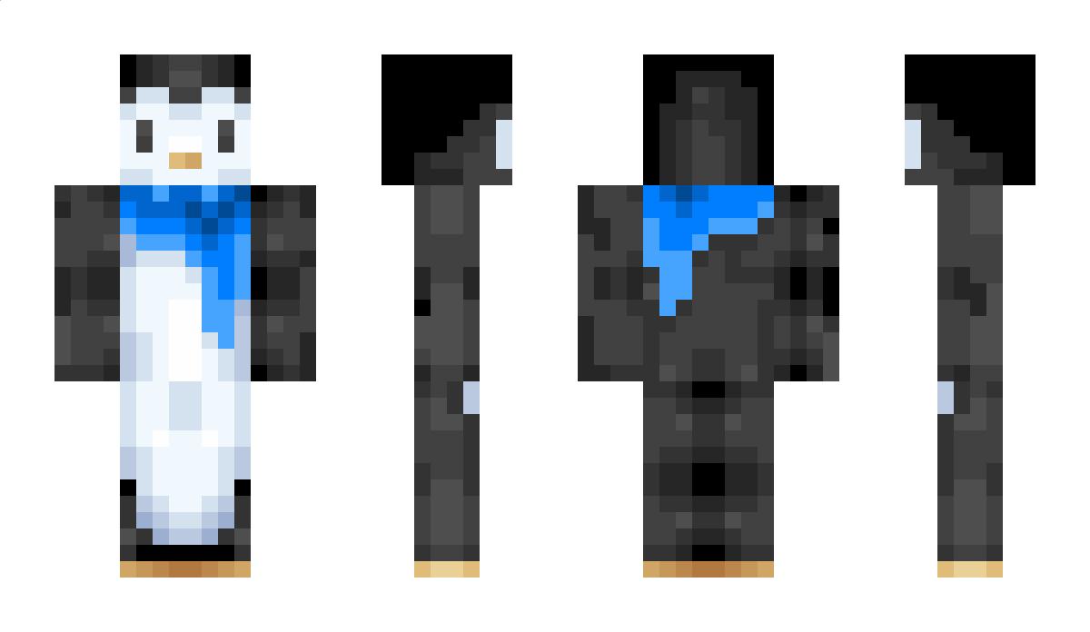 Didias_Nils Minecraft Skin