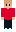 Pangett Minecraft Skin