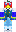 schip_ Minecraft Skin