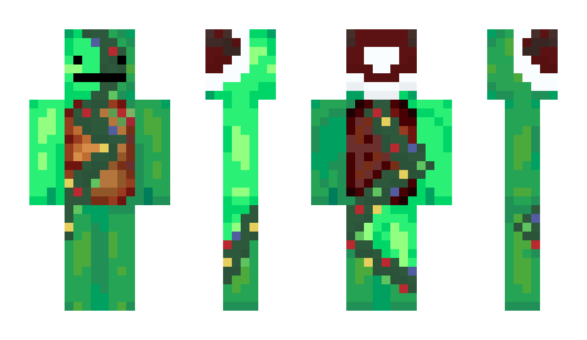 TurtleThunder Minecraft Skin