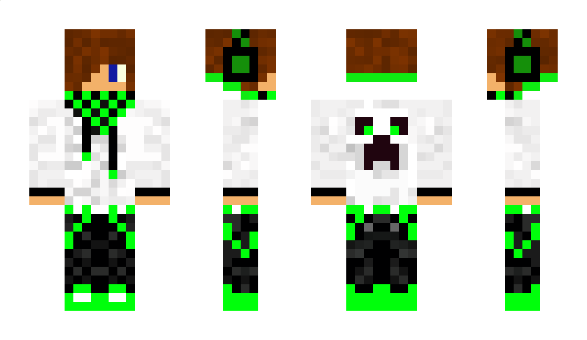 RaidMine Minecraft Skin