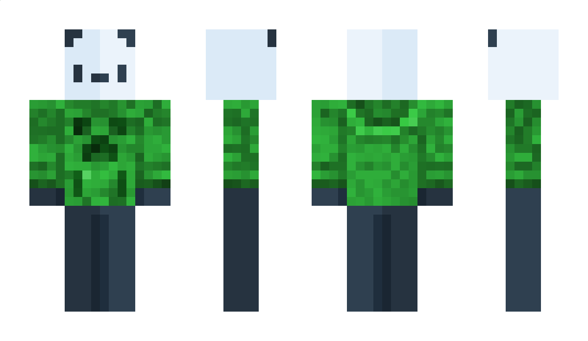 ALuckyPanda Minecraft Skin