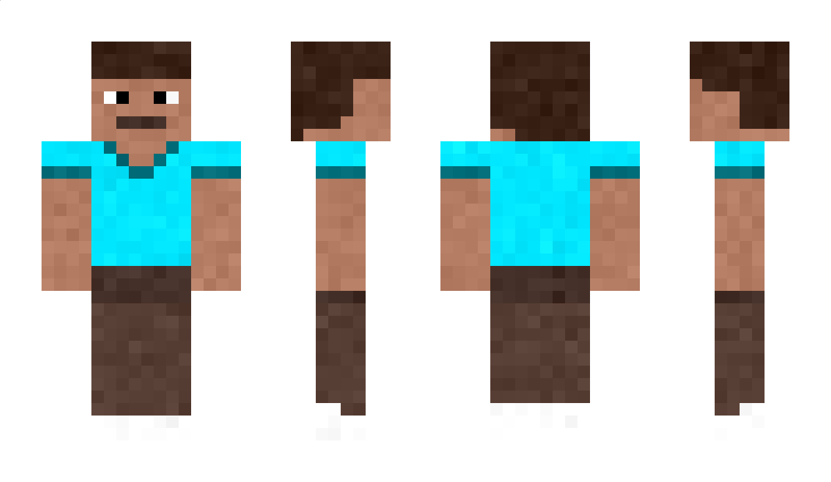 Steveth3cat Minecraft Skin