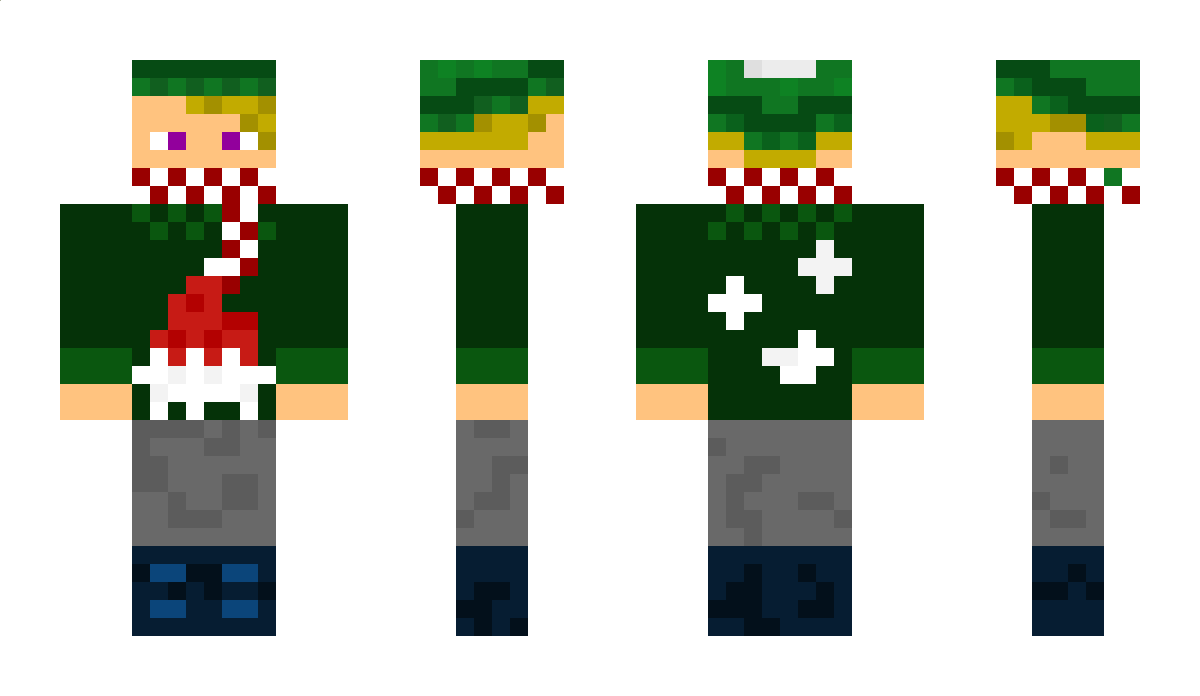 Miecho451 Minecraft Skin