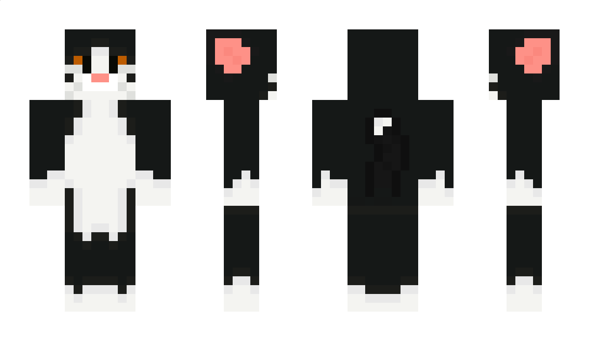 Happycat Minecraft Skin