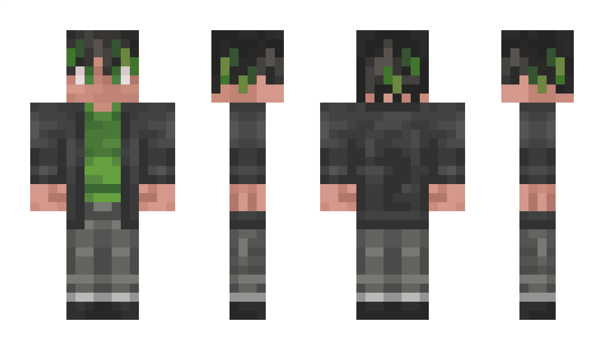 Dvin2470 Minecraft Skin