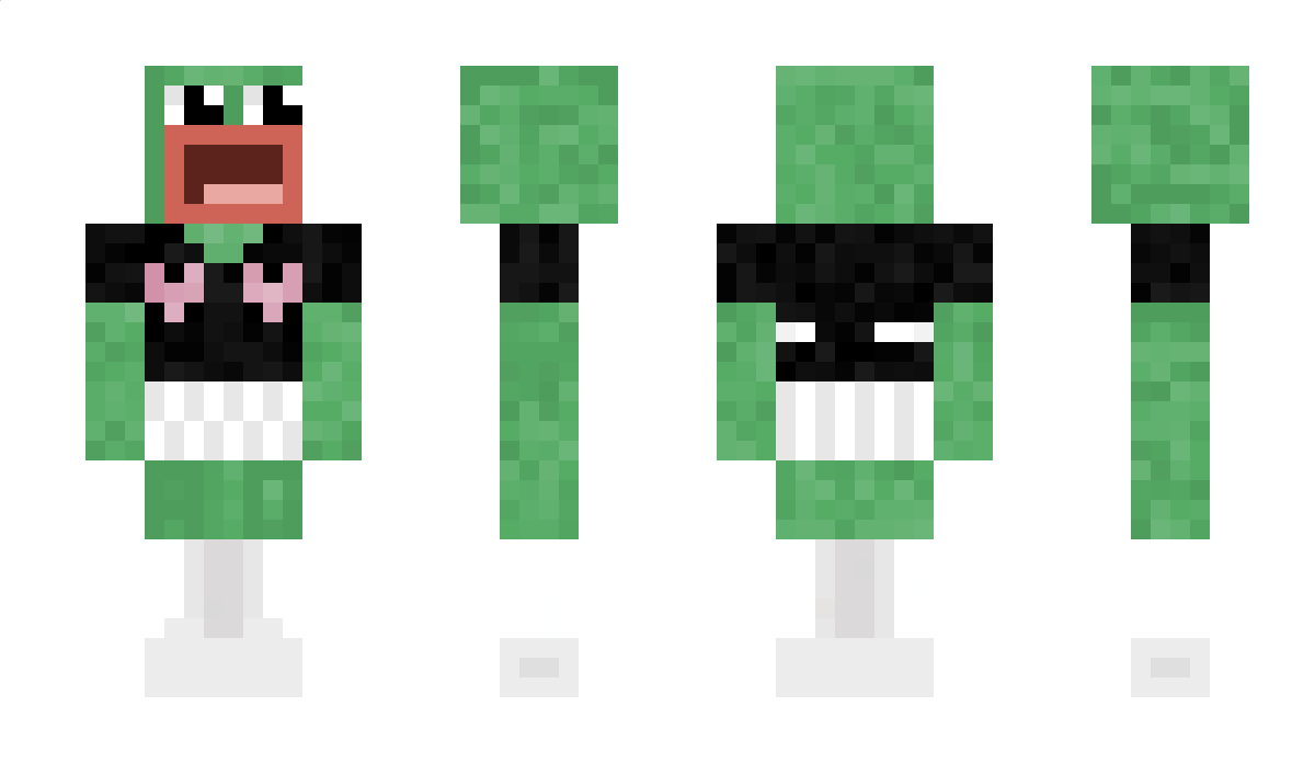 miodzia Minecraft Skin