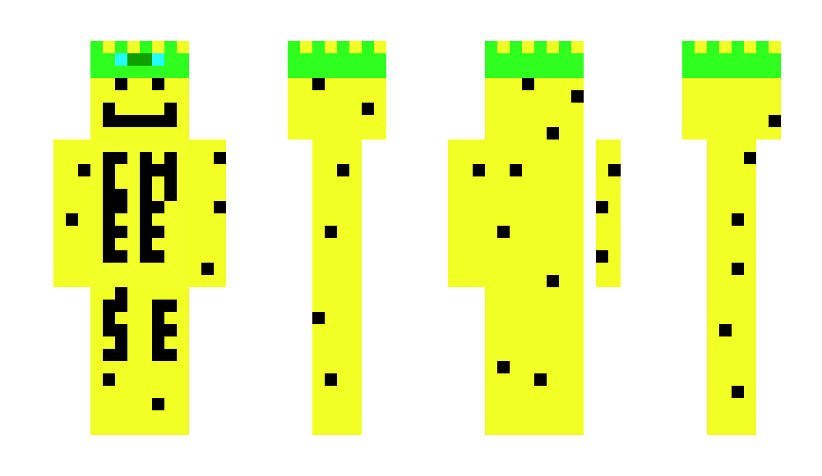 CHeeeseKing Minecraft Skin