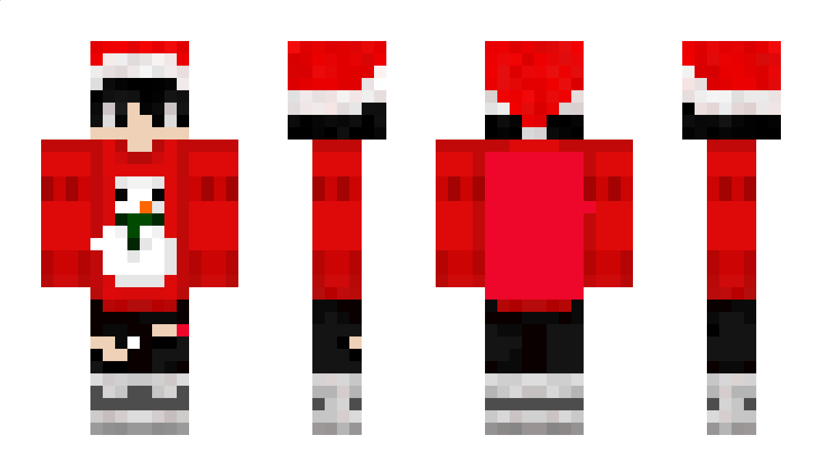 NOTcrazy_Gamer Minecraft Skin