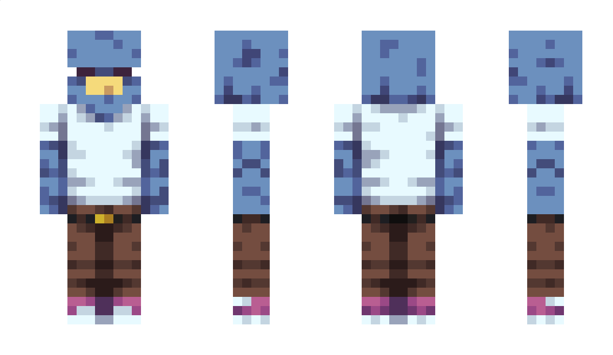 DolphinIDK Minecraft Skin