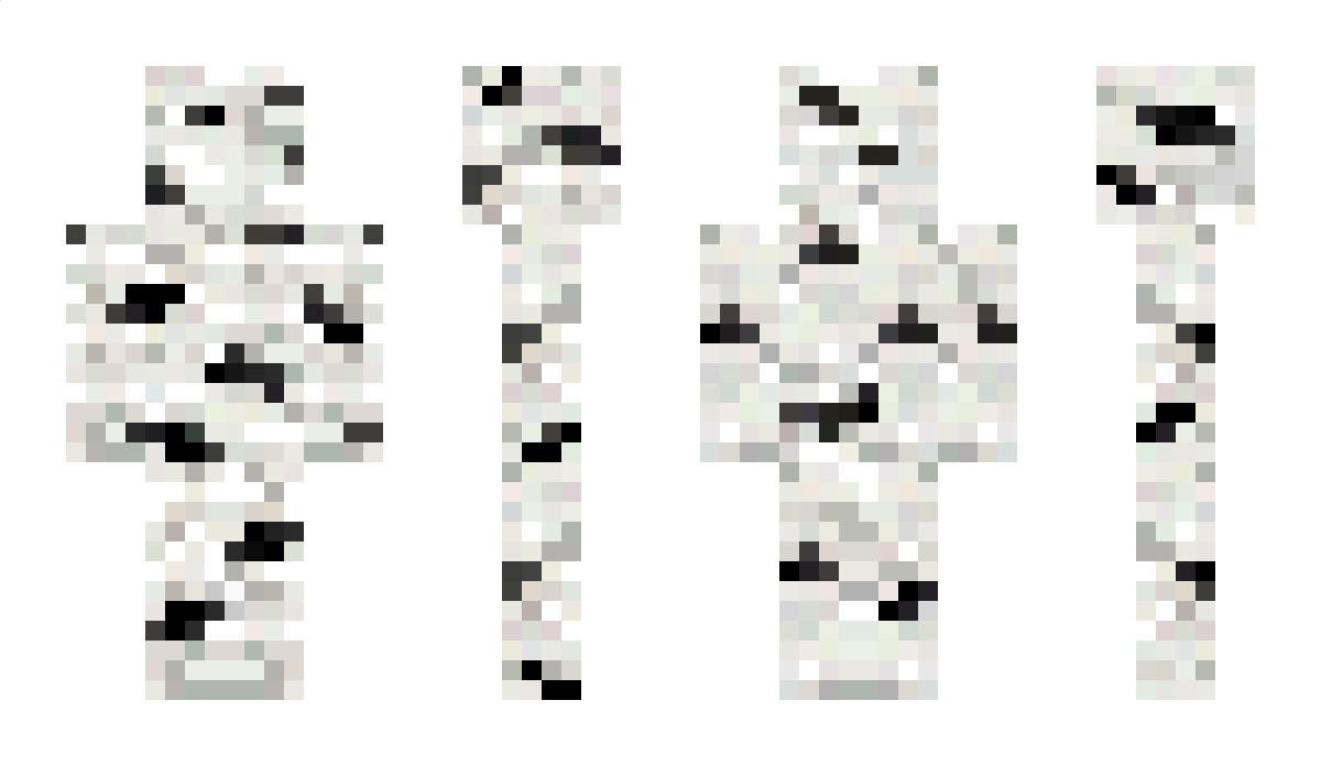 Birch_log Minecraft Skin