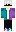 Sir_Birb Minecraft Skin