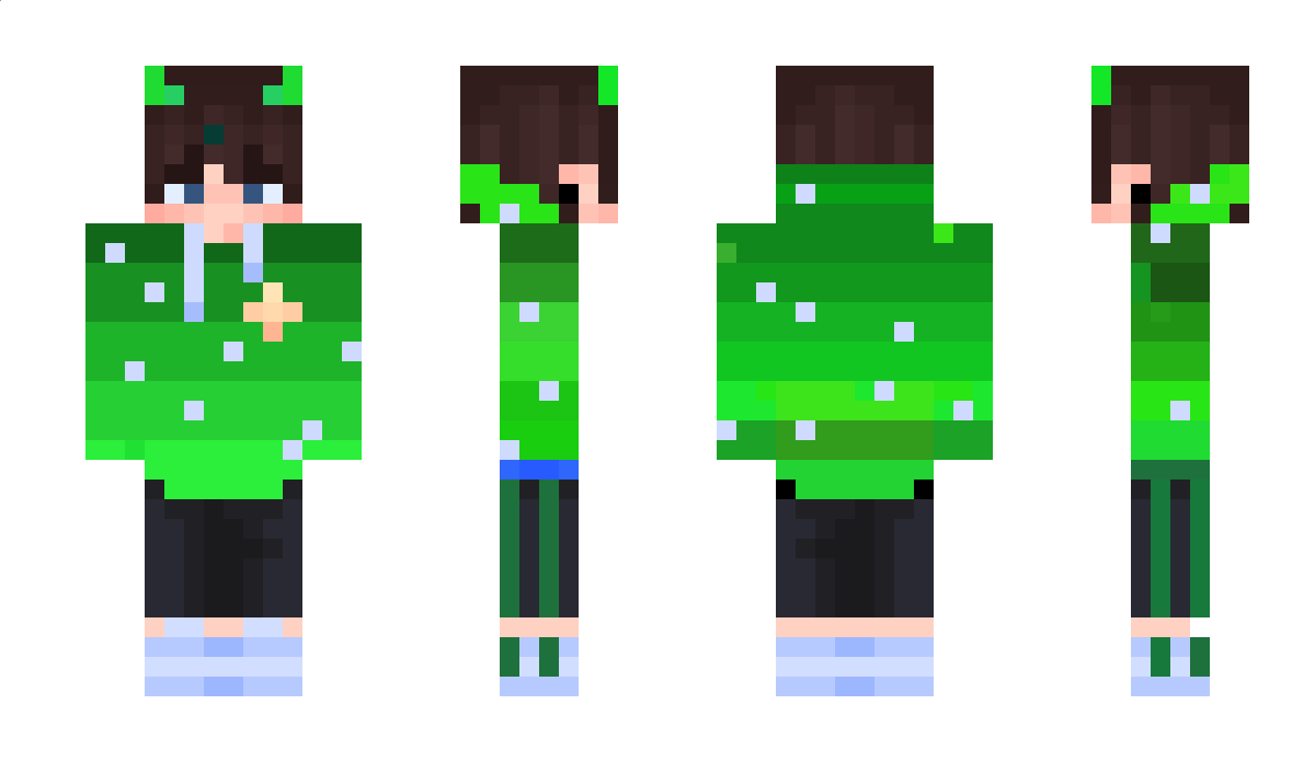 SleetMC Minecraft Skin