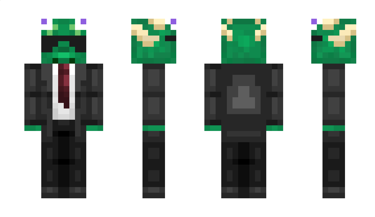 Drochenfreund Minecraft Skin