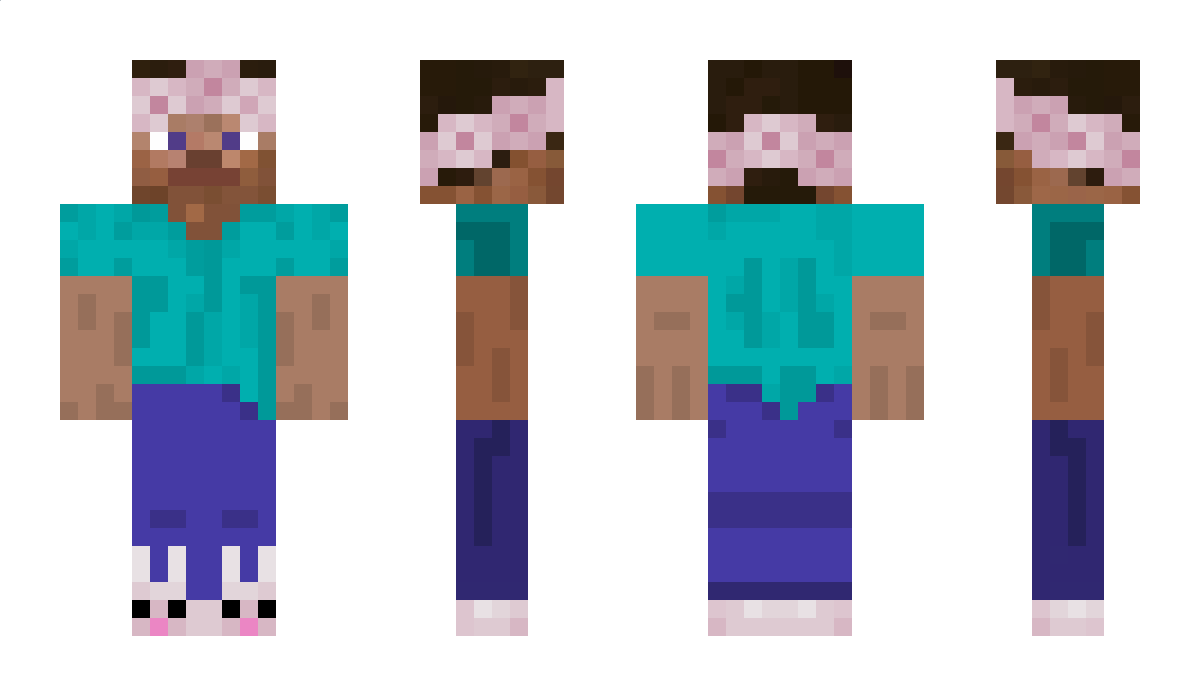 Riceball Minecraft Skin