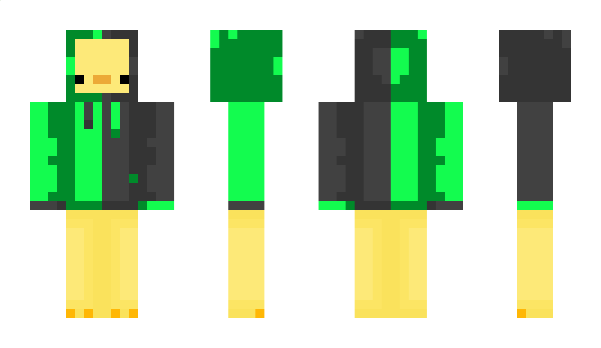 Winggdings Minecraft Skin