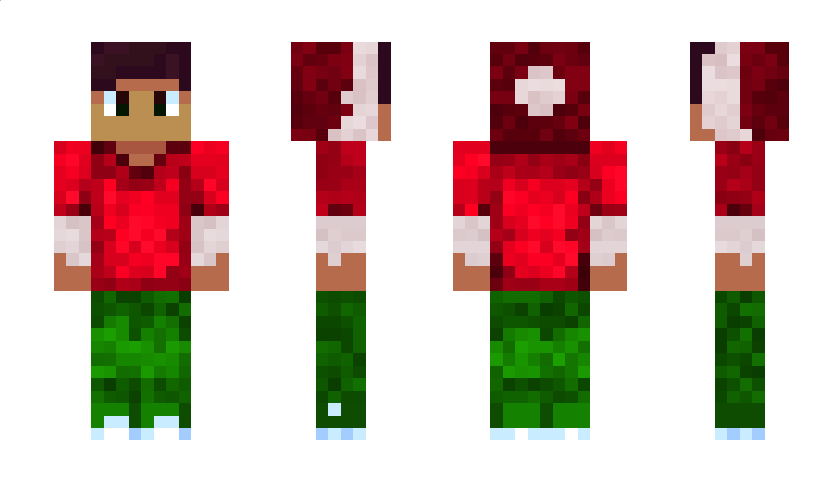 Micro____ Minecraft Skin