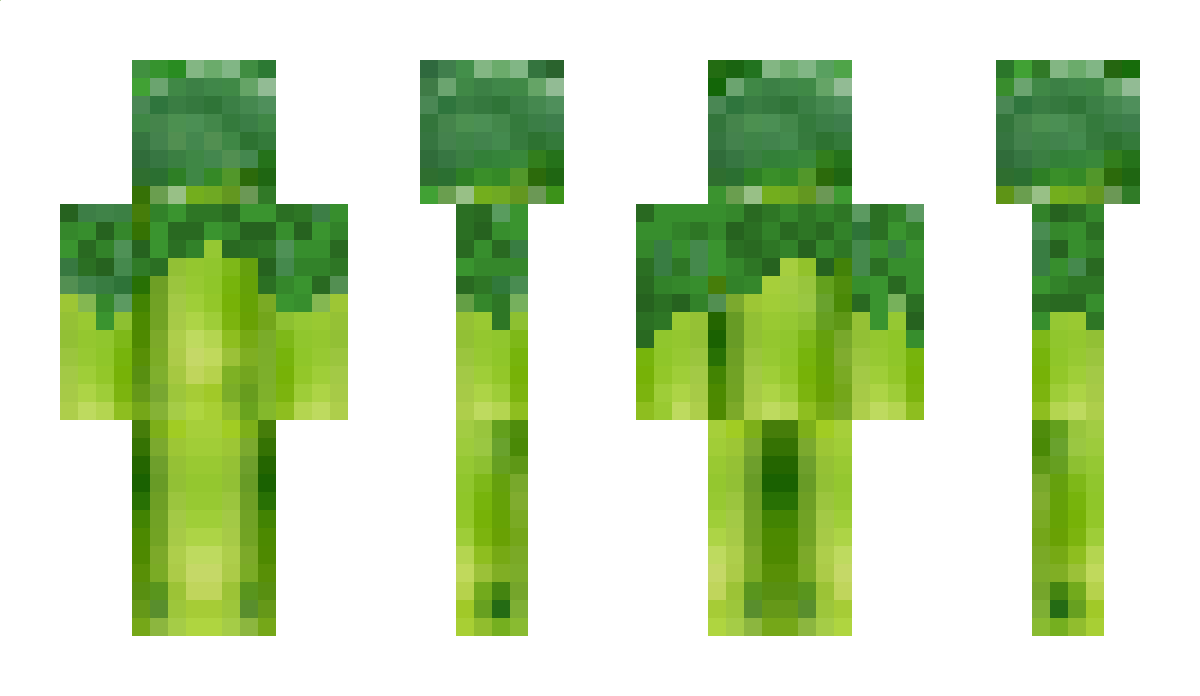 Boomiee Minecraft Skin