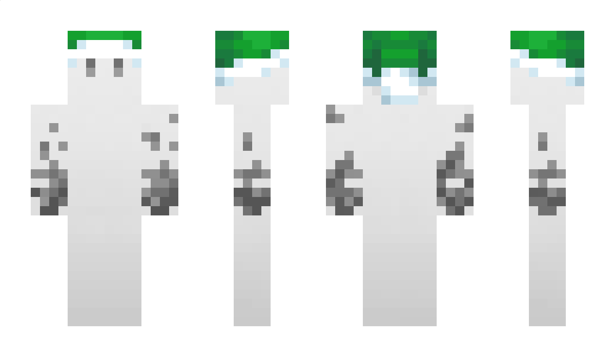 snowy_csh Minecraft Skin