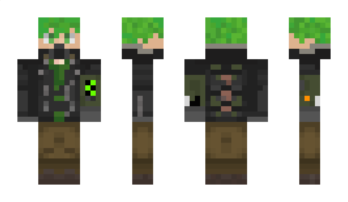 Dragonflair2008 Minecraft Skin