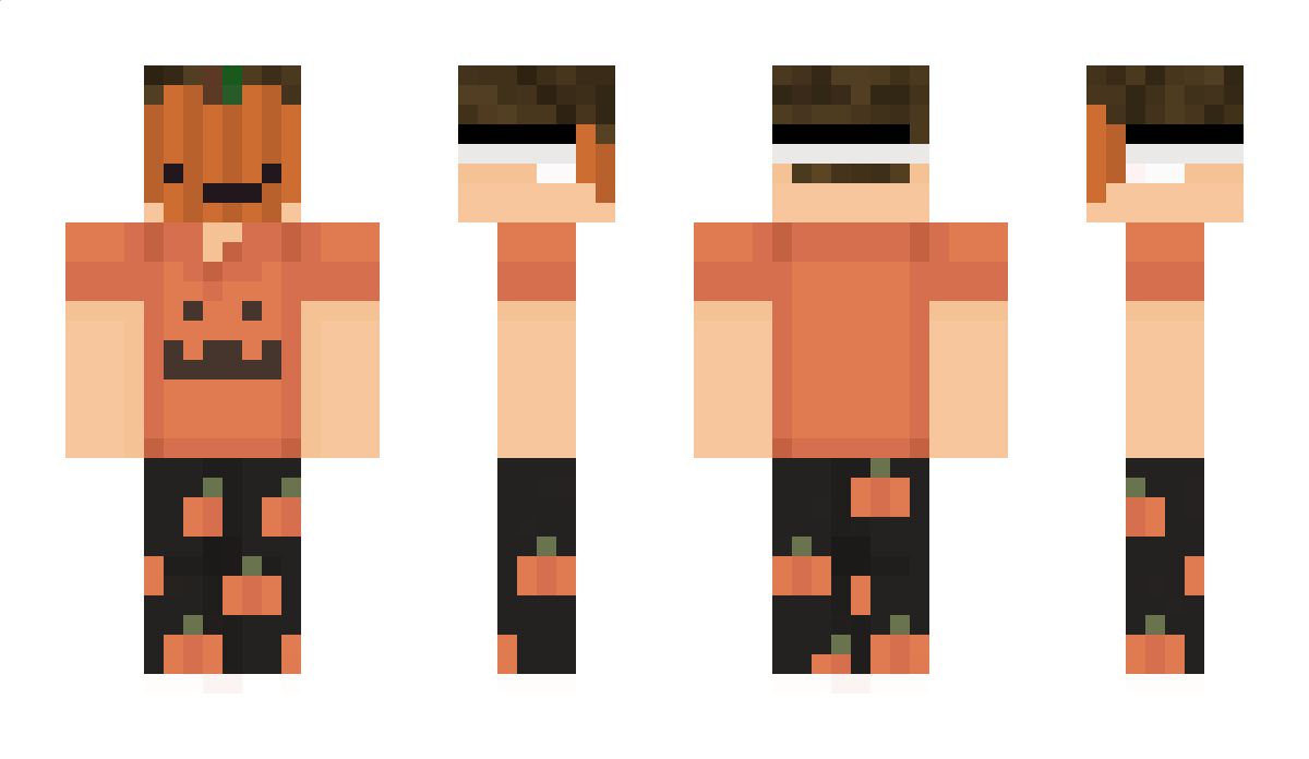 Bartas17 Minecraft Skin