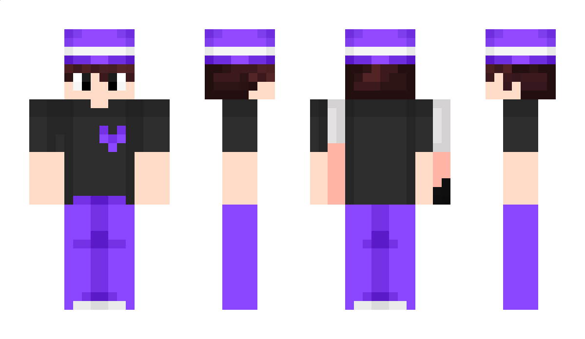 bitorruimdms Minecraft Skin