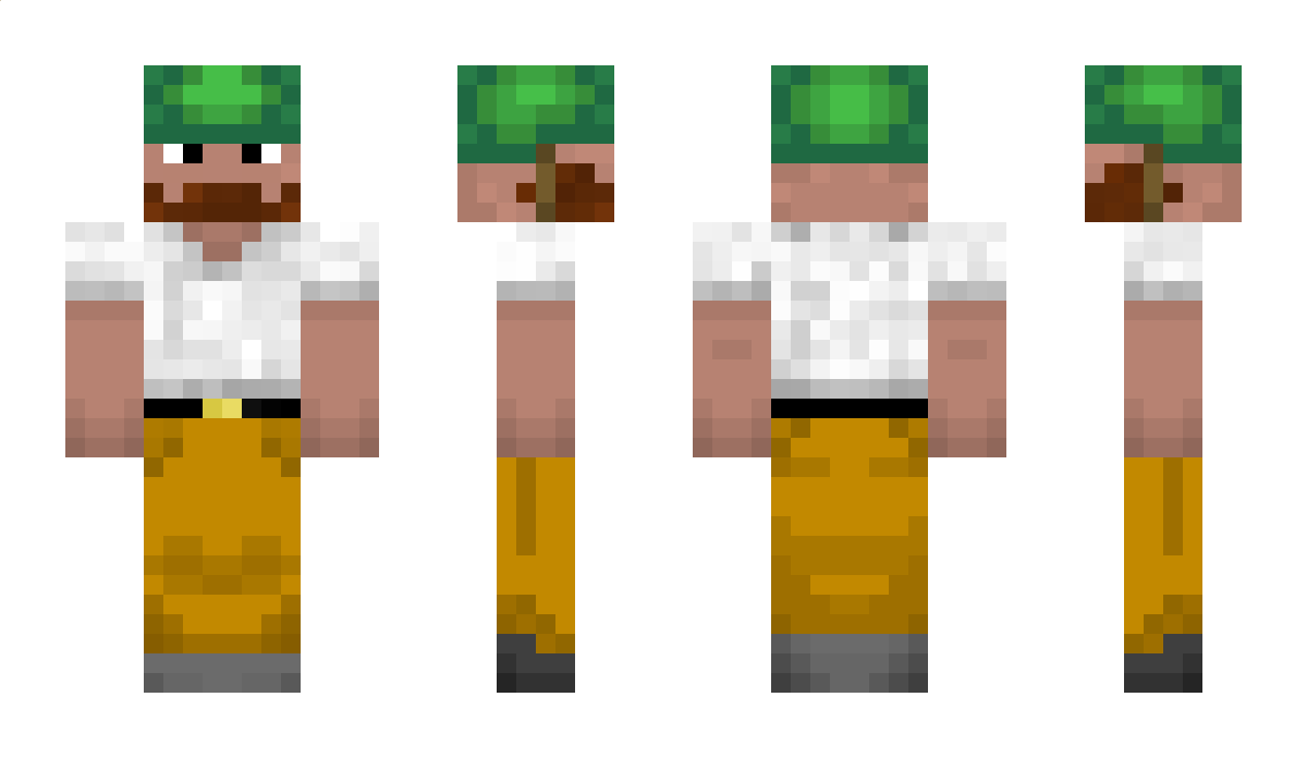 Liberum Minecraft Skin