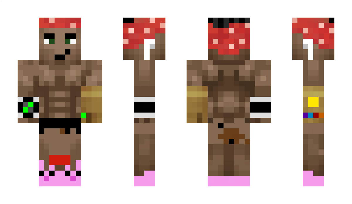 Hoinvcq Minecraft Skin