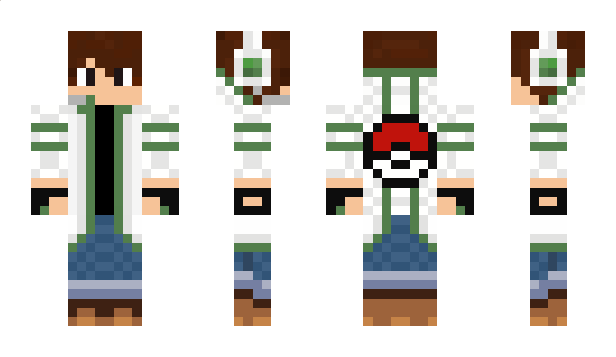 pokemonvsmario Minecraft Skin