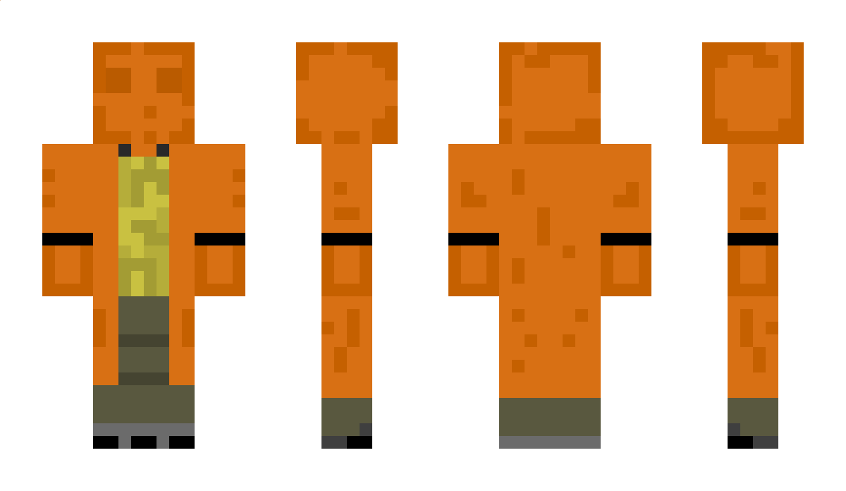 MrDodo9RIDERR Minecraft Skin