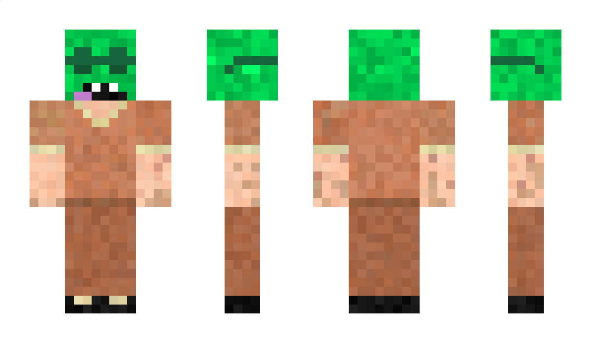 mixsteer69 Minecraft Skin