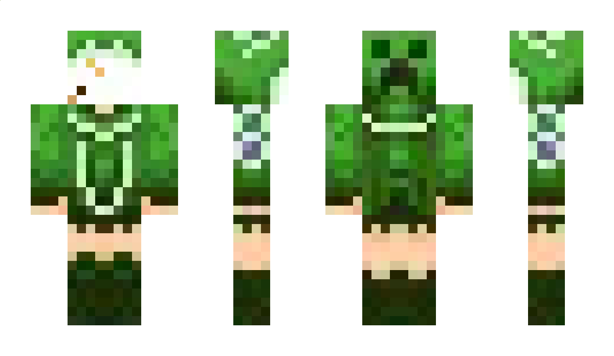 Anew Minecraft Skin