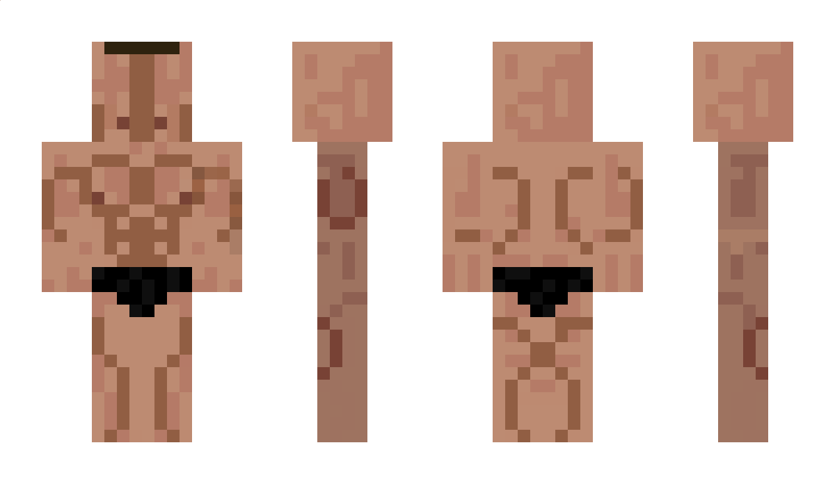 checked_skip2 Minecraft Skin