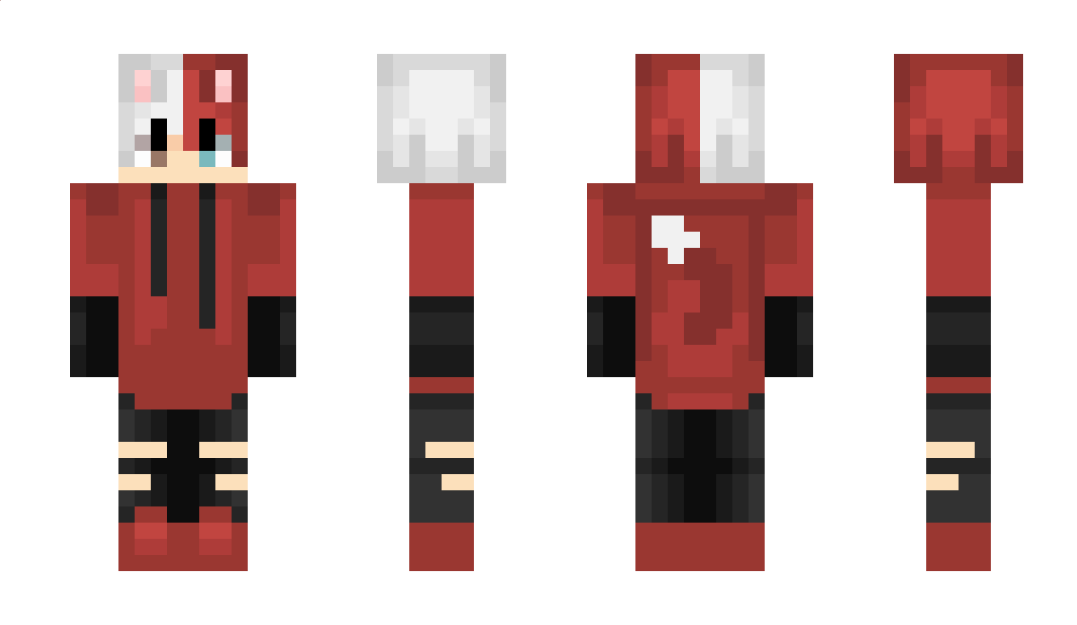 STEINI_1 Minecraft Skin