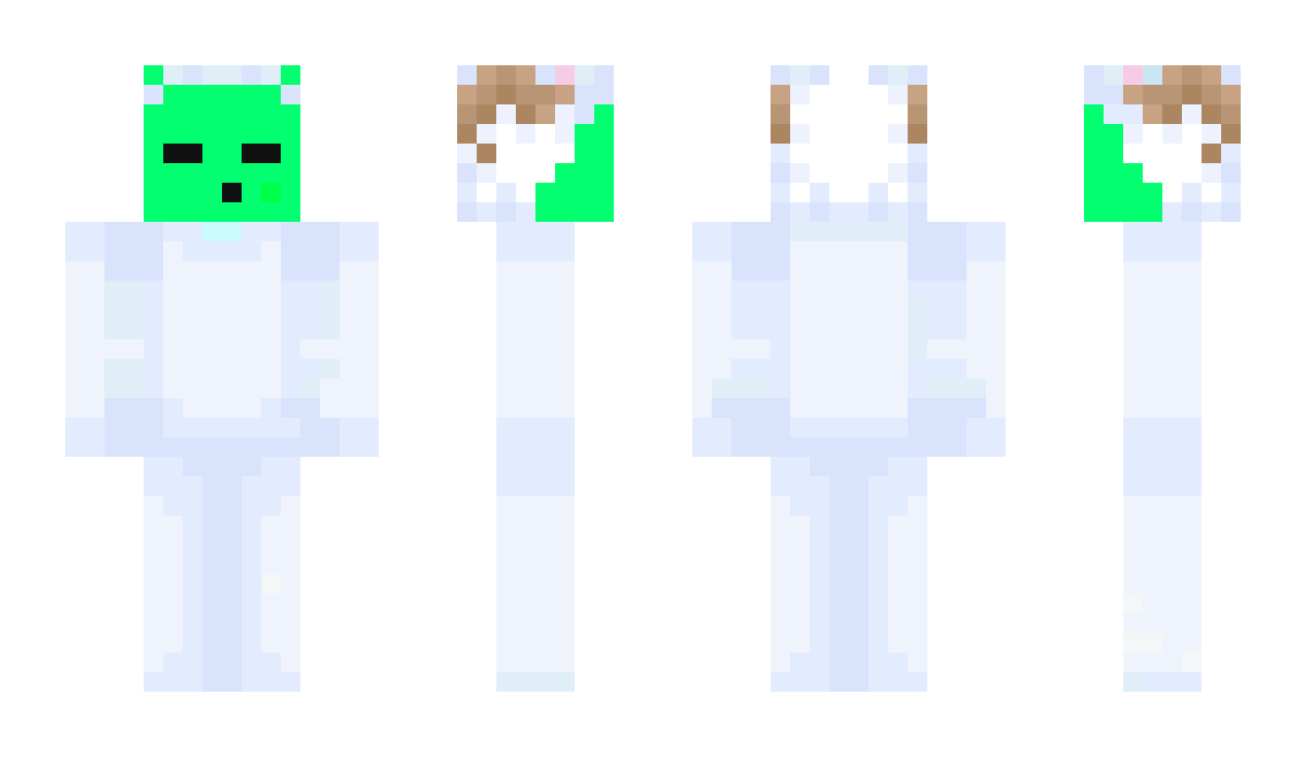 HCP_JINA Minecraft Skin