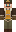 PuffinPilot Minecraft Skin