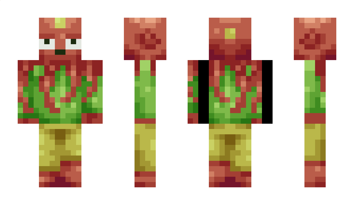 The1Npc Minecraft Skin